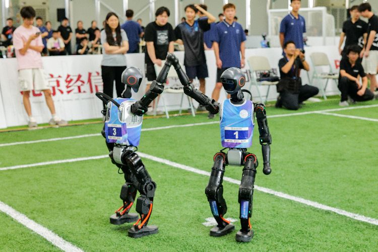 世界人形机 世界人形机