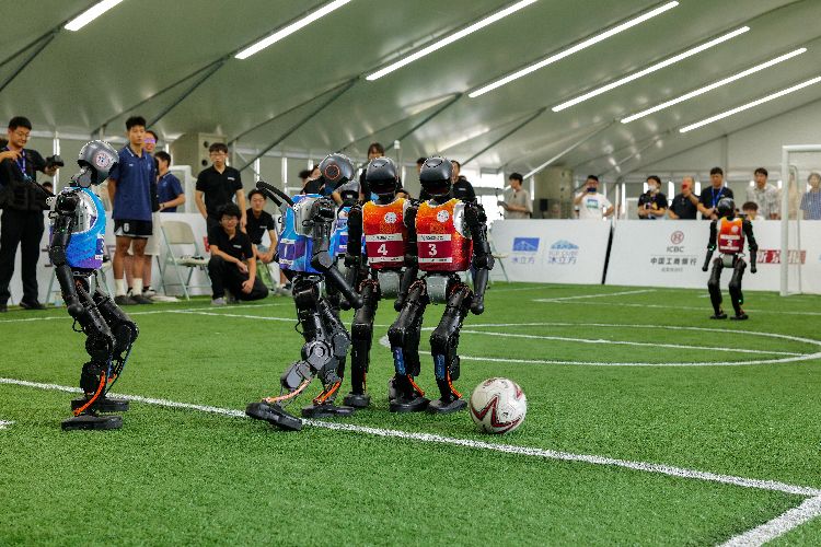 器人, 预选赛中 器人, 预选赛中